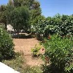 Ficomoro Surf House Casa vacanze