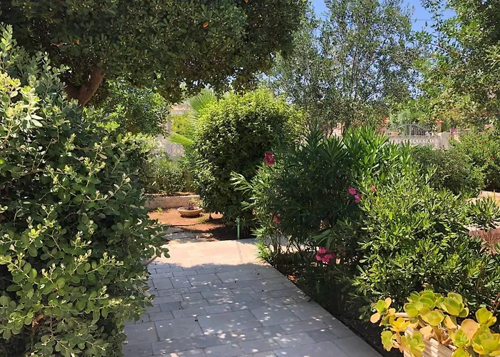 Ficomoro Surf House *