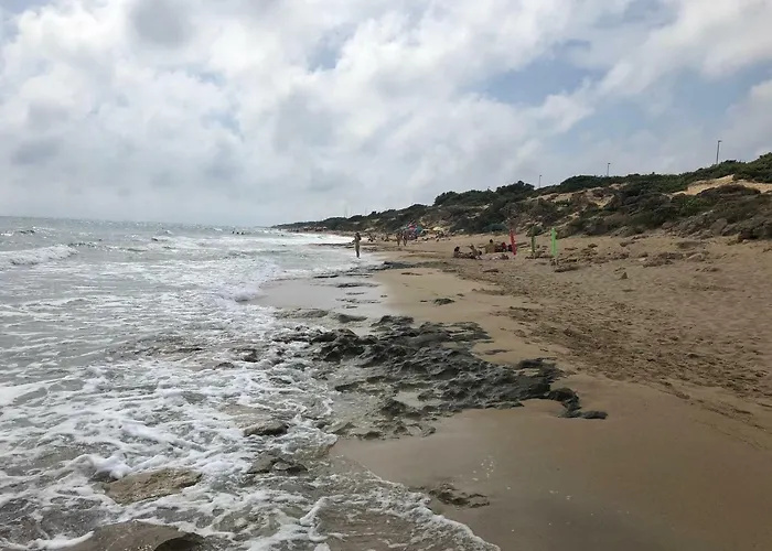 Hébergement de vacances Ficomoro Surf House